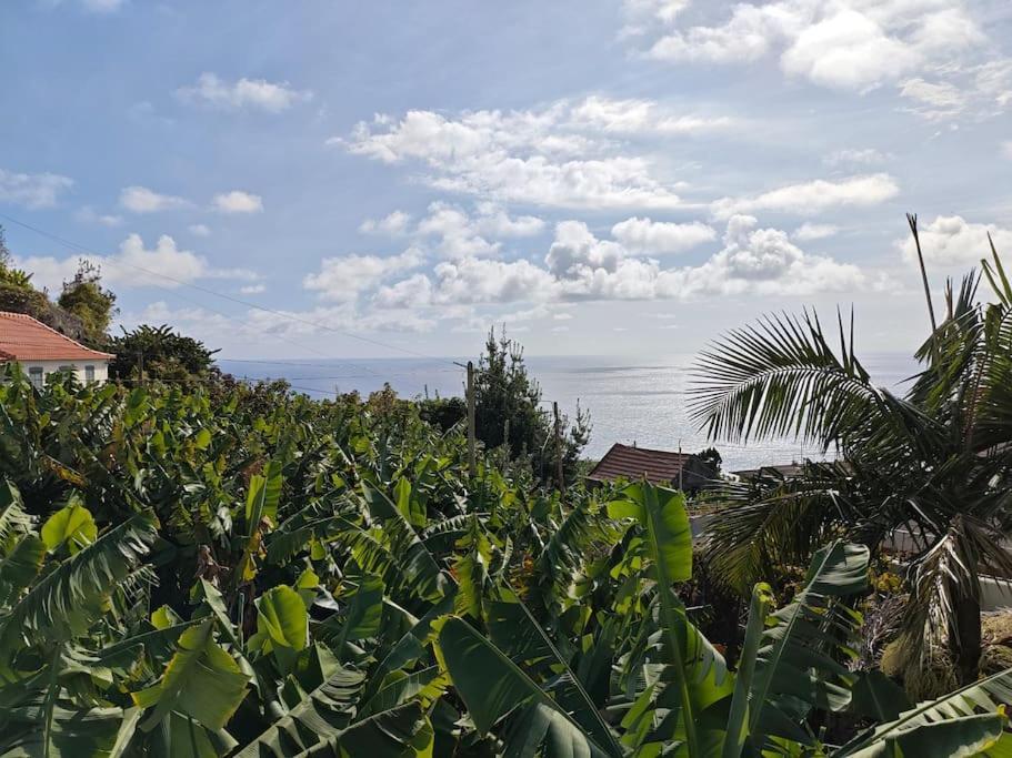 Apartamento Vаrаndаs Dо Sоl-Vista Relaxante Entre Mar E Montanha Ponta do Sol  Exterior foto